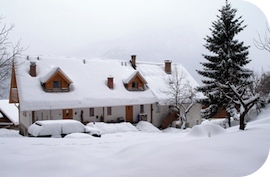 bela_winter_2010.jpg